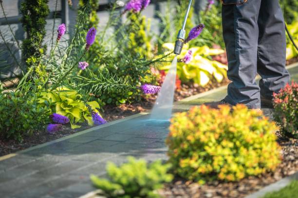 Best Fence Cleaning  in Owatonna, MN